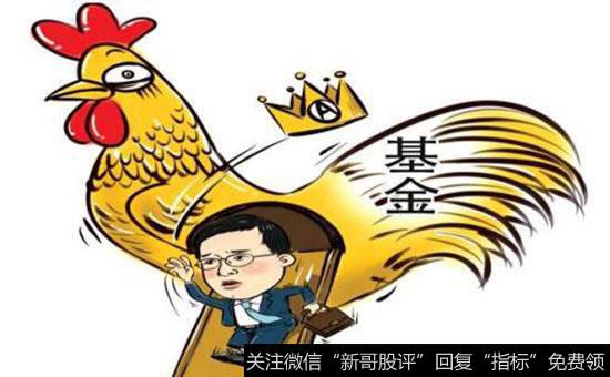 什么是指数?指数基金的作用是什么?什么是指数点数?