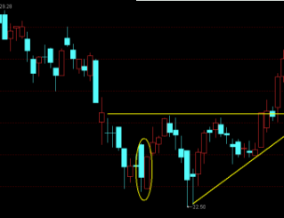 曙光出现组合 曙光出现组合